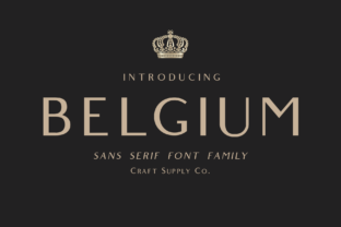 Belgium Family Font for Modern Brand Identity