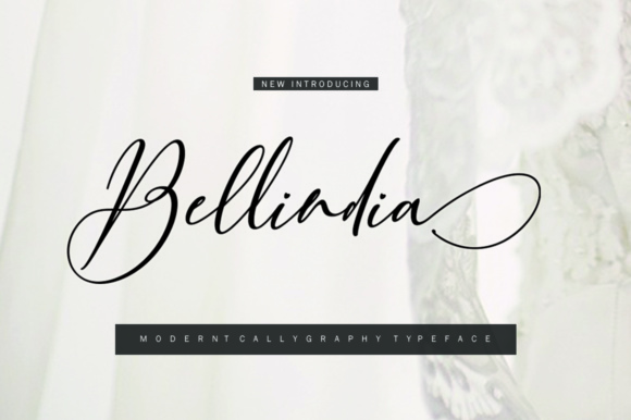Bellindia: A Modern Script Font for Branding