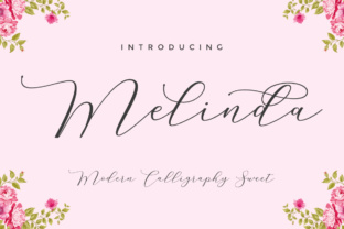 Melinda Script Font for Modern Campaign Design