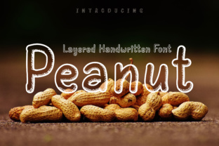 Peanut Font: A Layered Typeface for Modern Web Design