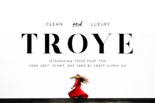 Troye Trio: A Modern Serif Font for Campaigns